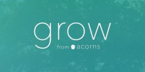 Acorns Logo Acorns (PRNewsFoto/Acorns)